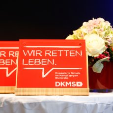 DKMS Schulsiegel