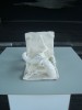 DSC04306