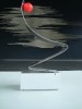 DSC04308