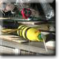 insekten02